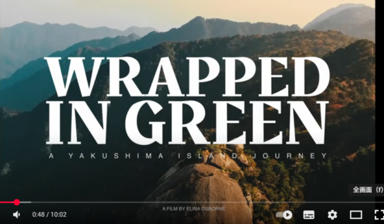 Wrapped In Green