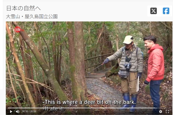 NHKWORLD