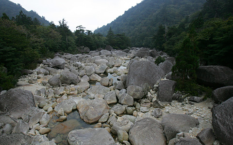 小杉谷橋から、大きい岩だらけです。