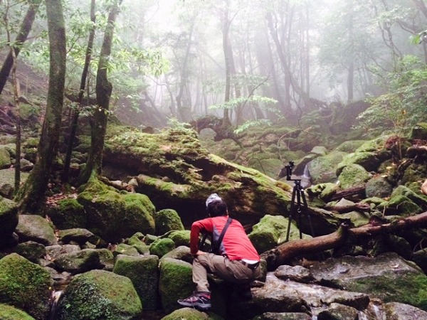 Nikon D810　屋久島の森へ